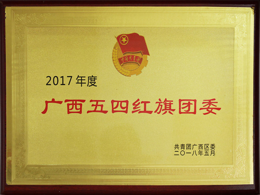 2017年度廣西五四紅旗團委